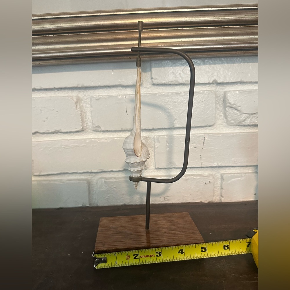Elegant Shell Decor brass tension and wood Stand - Picture 4 of 7
